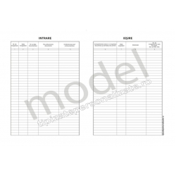 Registru Intrare-Iesire, Carnet A4, 1 Ex., 100 File Registru Intrare-Iesire, Carnet A4, 1 Ex., 100 File